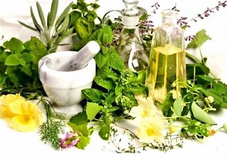 Herbal remedies for various health conditions