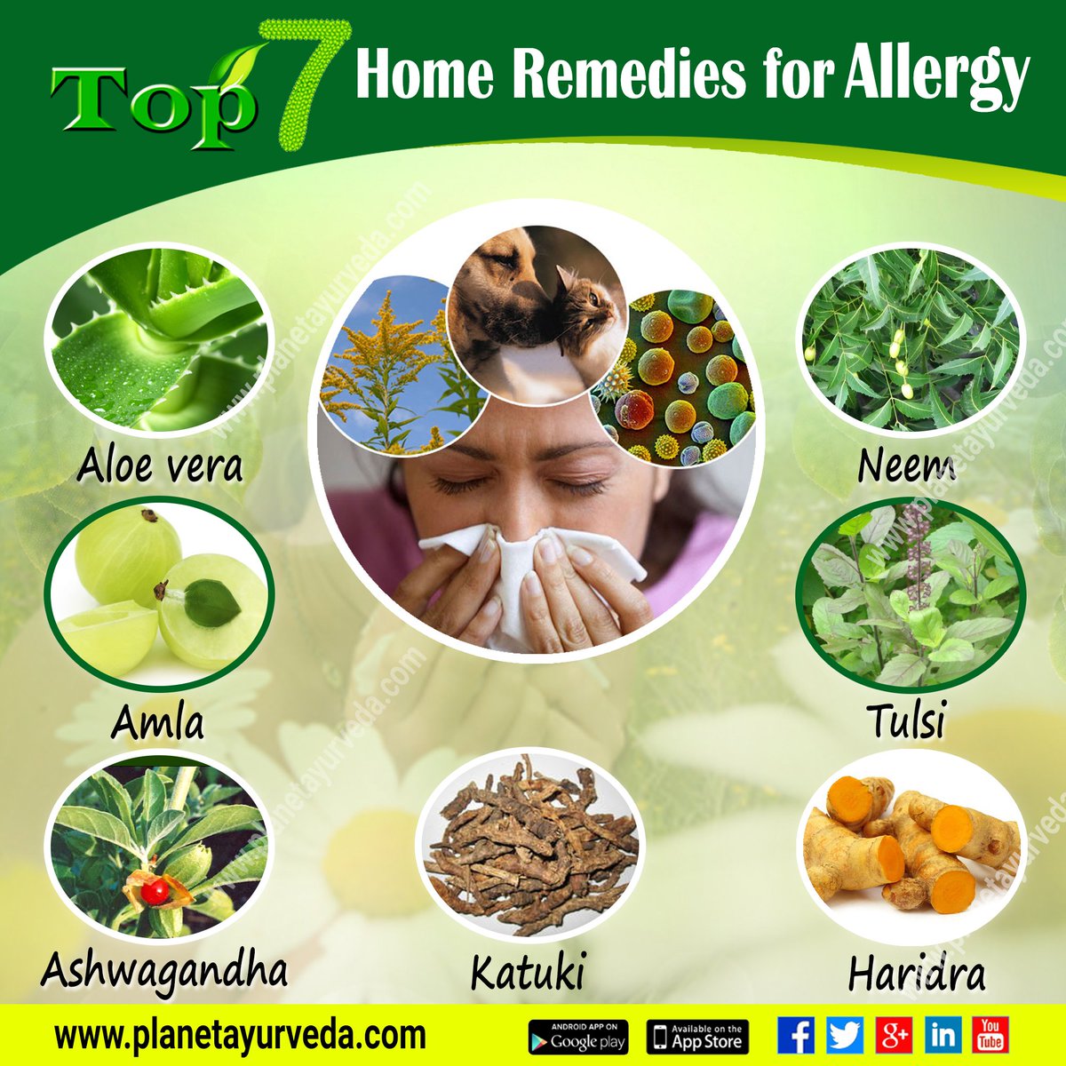 Allergy relief and management