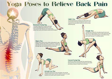 Back pain relief and exercises