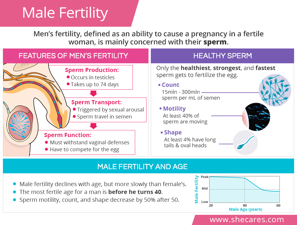 Men's reproductive health and fertility
